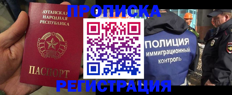 прописка поиск в Владимире